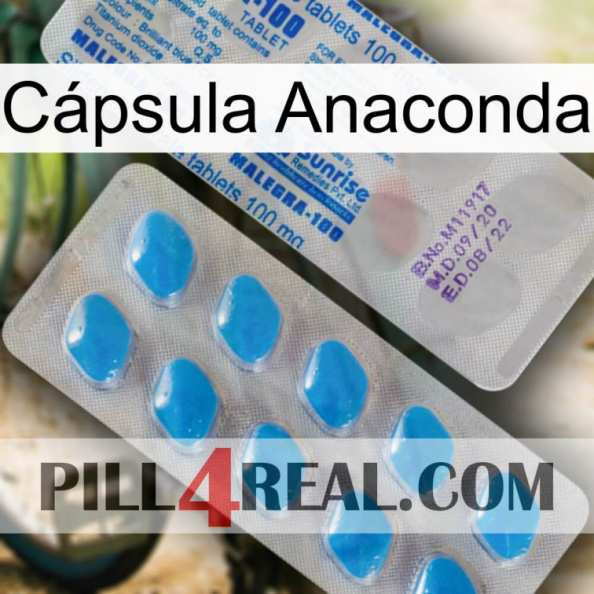 Cápsula Anaconda new15.jpg